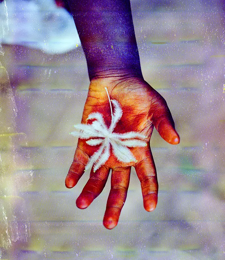 Africa Boy Alfa Hand photography