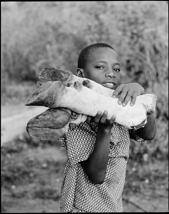 Africa Boy With Cow Legs photography