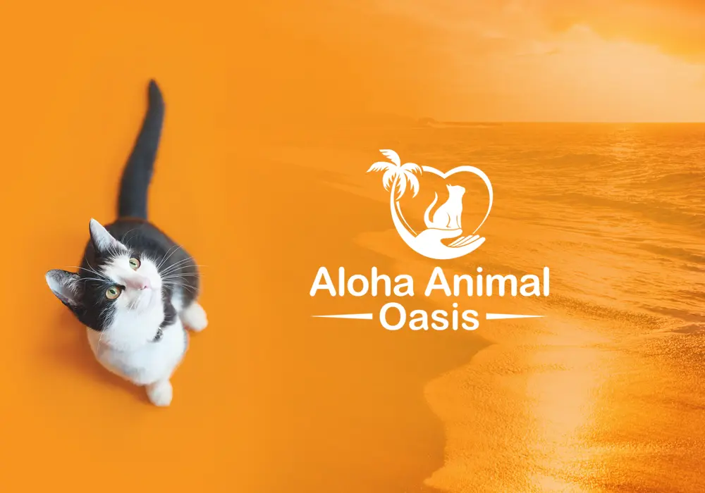 Aloha Animal Oasis Website Design web design