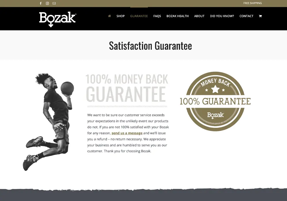 Bozak Website Design web design