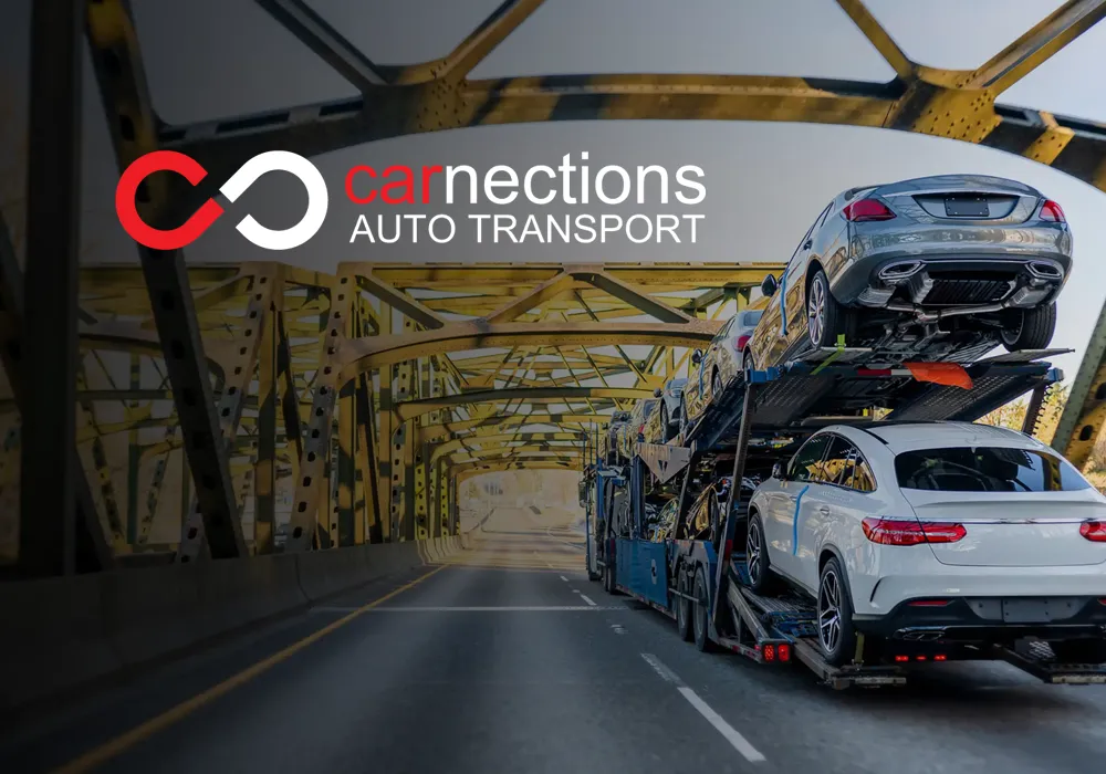 Carnection Auto Transport Web Design web design