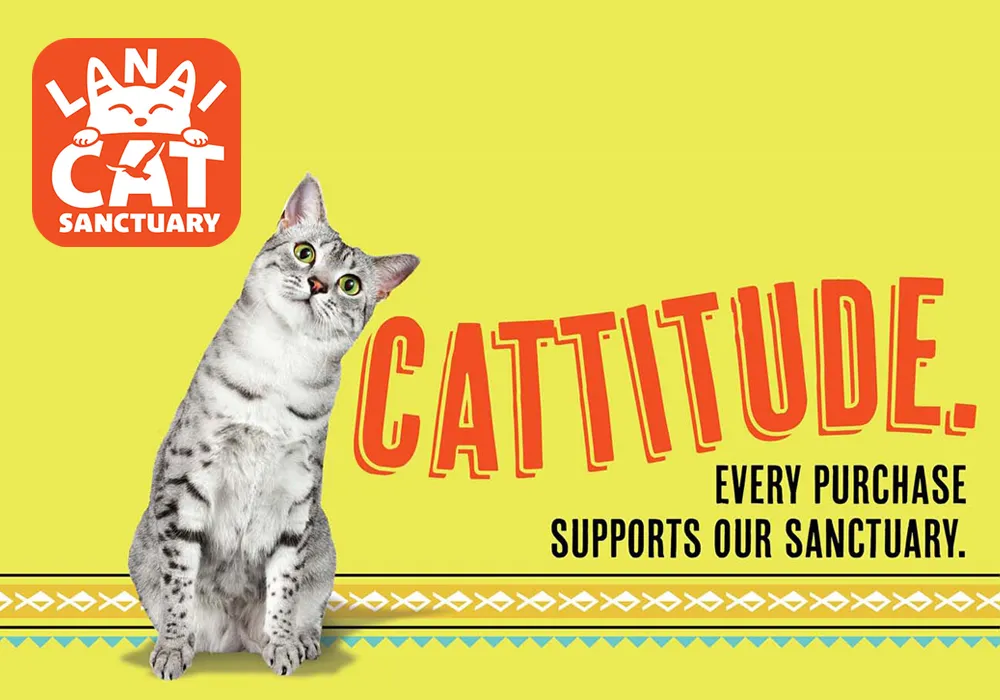 Lanai Cat Santuary Website Design web design