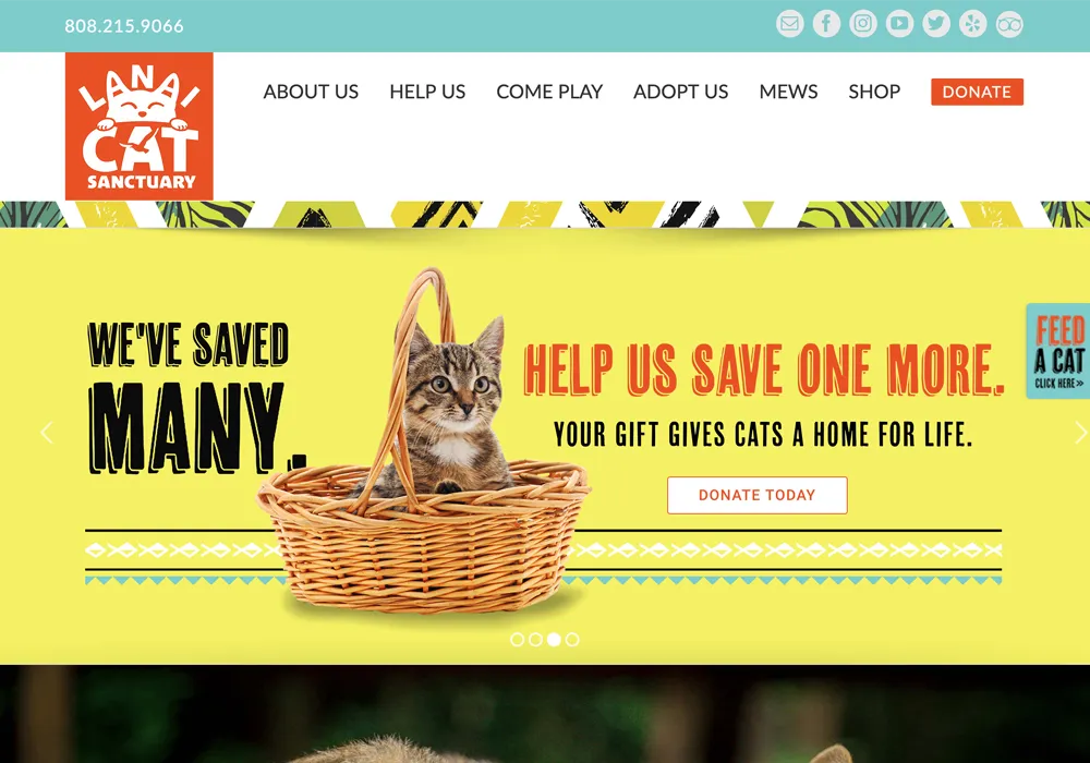 Lanai Cat Santuary Website Design web design